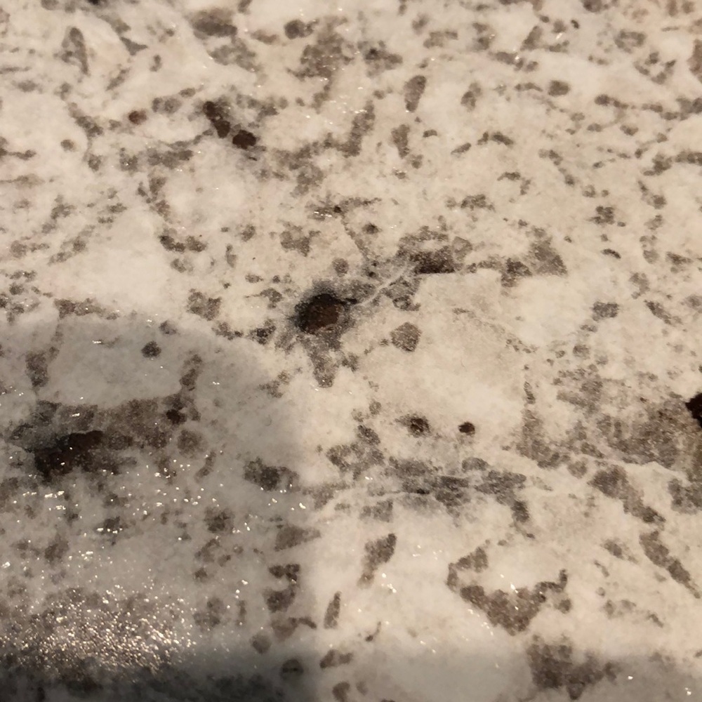 Meet your Posher, Jane